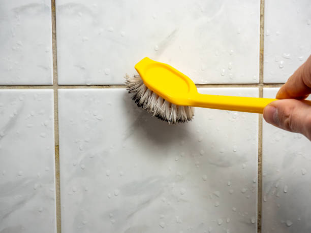 Trusted Mount Gilead, OH Mold Remediation Experts