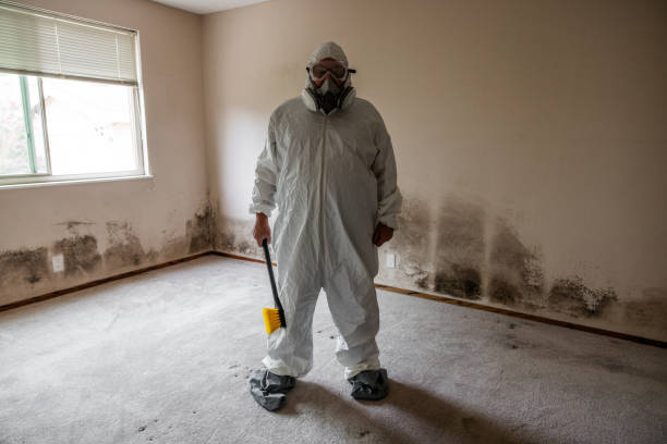 Best Health and Safety Mold Remediation in Mount Gilead, OH